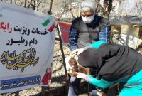 خدمات رایگان دامپزشکی مازندران به ۱۶۲ روستای محروم