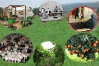 ایجاد ١٣٢فرصت شغلی برای مددجویان محمودآبادی