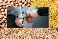 کشف و ضبط سه تن نهاده دامی قاچاق در ساری