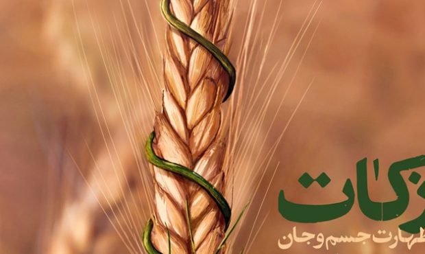 جمع آوری ۷۵ میلیاردی زکات پارسال در مازندران جمع آوری ۷۵ میلیاردی زکات پارسال در مازندران