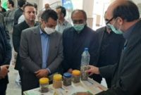 افتتاح مرکز رشد فناوری کشاورزی در جویبار