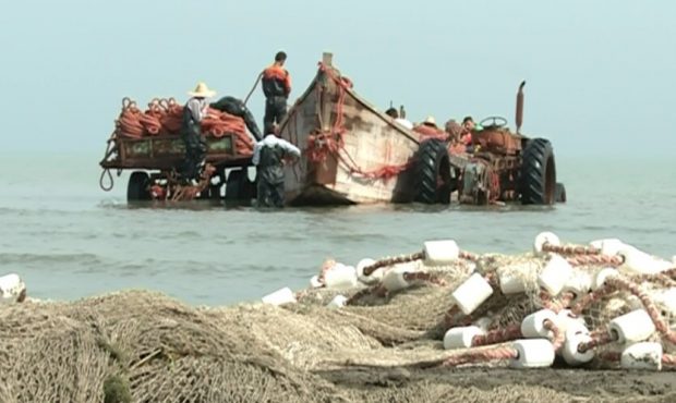 کاهش ۵ درصدی صید ماهیان استخوانی از سواحل مازندران