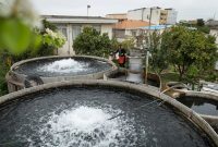 اجرای طرح شیلاتی مشاغل خانگی در مازندران