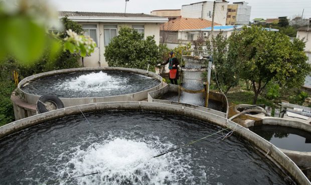 اجرای طرح شیلاتی مشاغل خانگی در مازندران