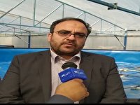 فراهم شدن امکان صید فراسرزمینی برای صیادان ایرانی فراهم شدن امکان صید فراسرزمینی برای صیادان ایرانی