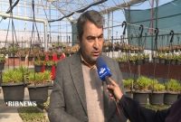 تکثیر گل‌های زینتی در ارتفاعات صعب العبور فیروزکوه