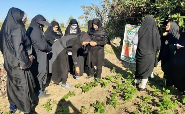 ایجاد ۵ باغچه خانگی سلامت محور در ساری