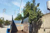 ریحان آباد گلوگاه، روستای بدون میوه باقیمانده روی درختان