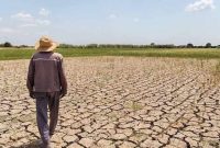 جدال مازندران با خشکسالی بسیار شدید