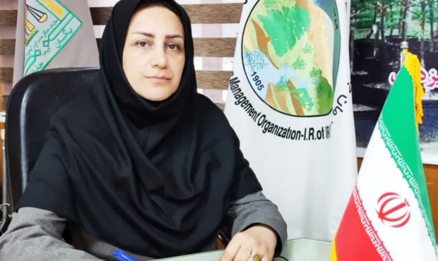 برگزاری دومین جشنواره «منابع طبیعی و رسانه» مازندران در روز جنگلبان