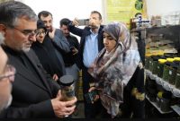 گیاهان دارویی در بخش بلده ظرفیتی ممتاز برای بهبود فضای کسب و کار روستاییان