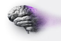 بیش از ۵۵ میلیون نفر در جهان آلزایمر دارند