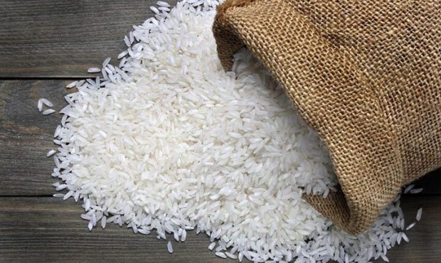 طرح خرید توافقی برنج پرمحصول تا پایان مهرماه تمدید شد