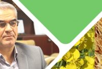 اجرای طرح کشاورزی قراردادی در مازندران آغاز شد