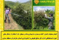 کنترل آفات و بیماری های 1050 هکتاز از جنگل های حوزه اداره کل ساری