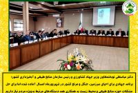 رئیس سازمان منابع طبیعی: برنامه جهادی احیای سرزمین، جنگل و مرتع کشور آماده اجراست