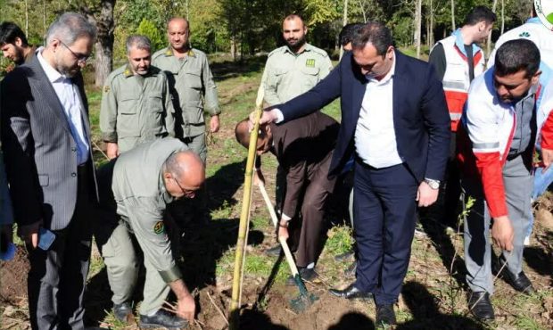 آغاز کاشت نهال در راستای طرح مردمی کاشت یک میلیارد درخت همزمان با کشور