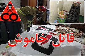 افزایش ۶۳ درصدی تلفات مسمومیت با گاز در مازندران افزایش ۶۳ درصدی تلفات مسمومیت با گاز در مازندران