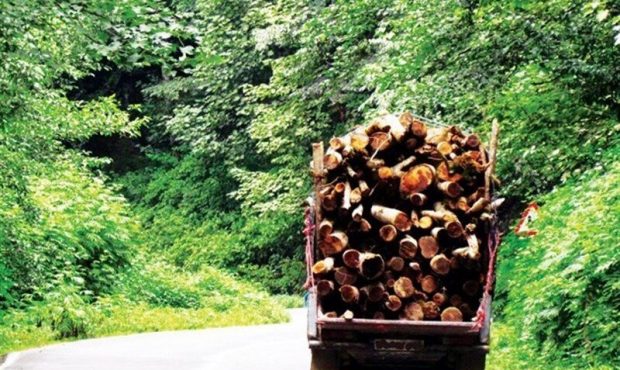 فعالیت ۳۱ گروه گشت حفاظتی در جنگل‌های غرب مازندران