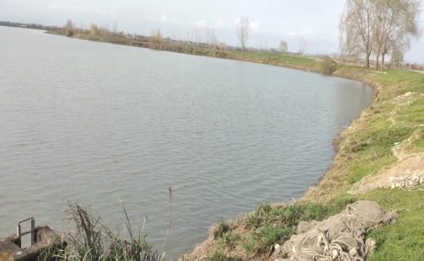پرشدگی ۹۸ درصد آببندانهای مازندران در ابتدای سال ۱۴۰۳ پرشدگی ۹۸ درصد آببندانهای مازندران در ابتدای سال ۱۴۰۳