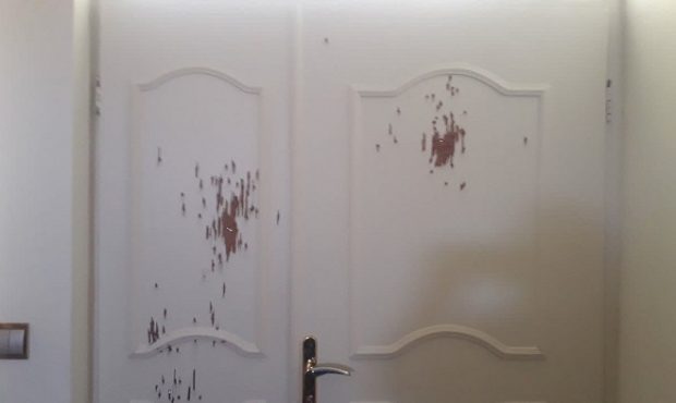 تیراندازی شبانه به منزل جنگلبانان آملی تیراندازی شبانه به منزل جنگلبانان آملی