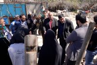 افزایش سطح زیر کشت گیاهان دارویی در سوادکوه؛ وعده فرماندار