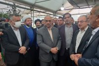 تاکید بر استفاده از گلخانه‌های مدرن برای کاهش مصرف آب