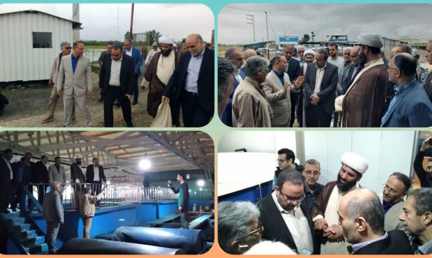 صادرات خاویار از مازندران ارزآوری خوبی داشت