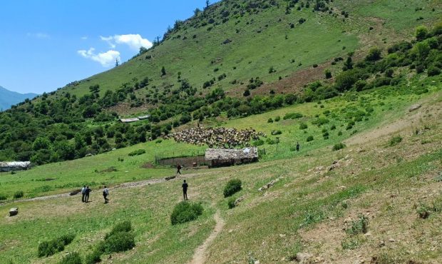 برگزاری مراسم قرق‌شکنی در مراتع سردانی کلاردشت