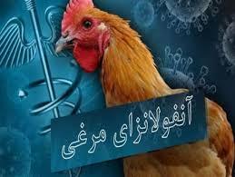 طرح پایش سرمی آنفلوانزای فوق حاد پرندگان در مازندران