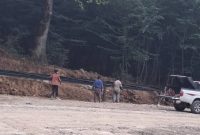 جنگل الیمالات زیر ذرهبین مسئولان دستگاههای نظارتی جنگل الیمالات زیر ذرهبین مسئولان دستگاههای نظارتی