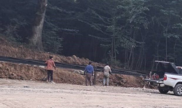 جنگل الیمالات زیر ذرهبین مسئولان دستگاههای نظارتی جنگل الیمالات زیر ذرهبین مسئولان دستگاههای نظارتی