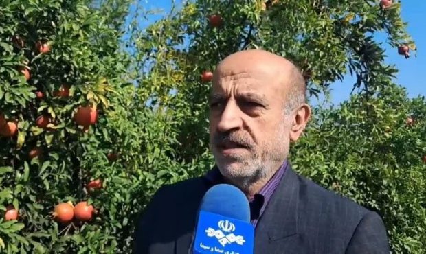 برگزاری یازدهمین جشنواره انار اشرف در بهشهر