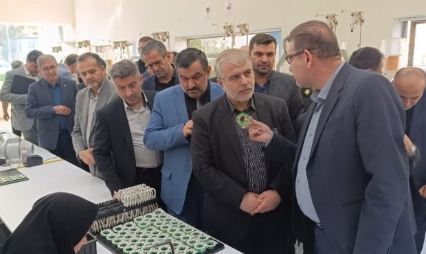 دستگاه قضایی حامی سرمایه‌گذاری و اشتغال باشد