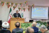 یک‌سوم درختان دنیا در معرض نابودی هستند
