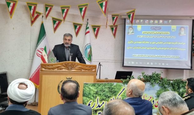 یک‌سوم درختان دنیا در معرض نابودی هستند
