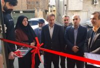 افتتاح ۱۹۴ پروژه بهزیستی در دهه فجر