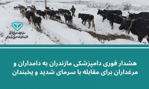 هشدار به دامداران و مرغداران برای مقابله با سرمای شدید