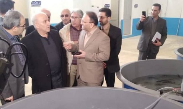 وعده تسهیلات به مجموعه پرورشی ماهیان خاویار چال باش کاسپین