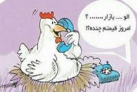وقتی مرغ هم ساز جدایی کوک می‌کند