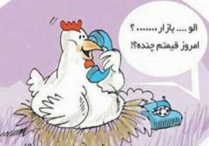 وقتی مرغ هم ساز جدایی کوک می‌کند