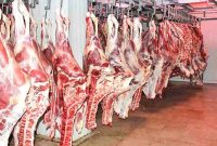 افزایش حجم عرضه گوشت گوسفندی تنظیم بازار در فروشگاه‌ها