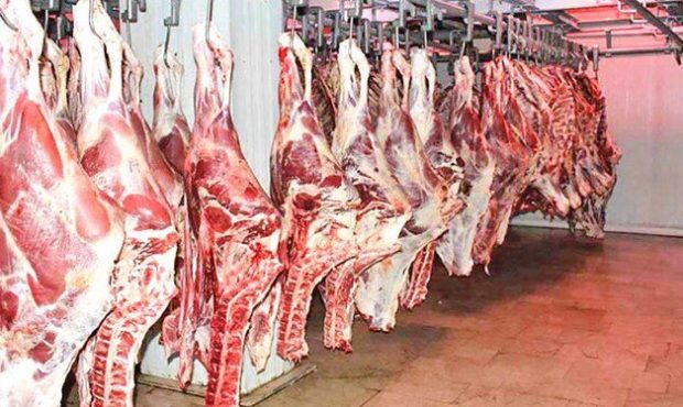 افزایش حجم عرضه گوشت گوسفندی تنظیم بازار در فروشگاه‌ها