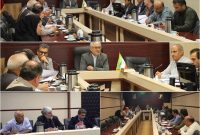 پرداخت ۸۰ درصد مطالبات گندم‌کاران مازندران / تأکید بر ارتقای کیفیت آرد و نظارت بر توزیع