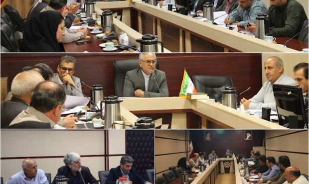 پرداخت ۸۰ درصد مطالبات گندم‌کاران مازندران / تأکید بر ارتقای کیفیت آرد و نظارت بر توزیع