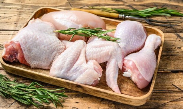 ارسال مرغ برای موکب‌های اربعینی مستقر در پیاده روی اربعین