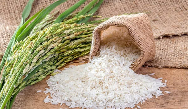 افتتاح ۷ تعاونی در هفته تعاون استان مازندران