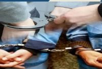 دستگیری قاچاقچیان حرفه‌ای قطع درختان هیرکانی در چمستان