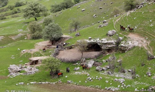 درخواست حمایت عملی از دامداران مناطق صعب‌العبور