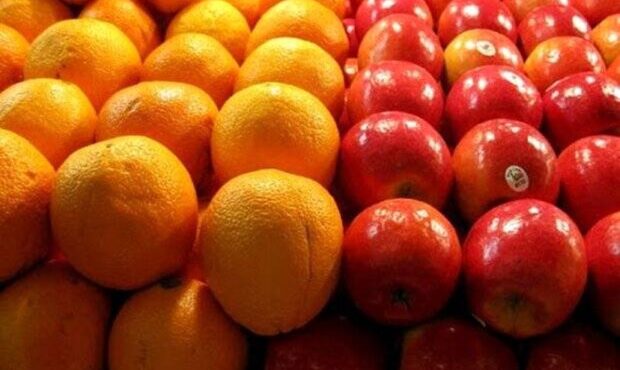 ذخیره بیش از ۴۰۰ تن سیب درختی و پرتقال در مازندران